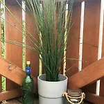 Große Koje Mit Terrasse Apartment *